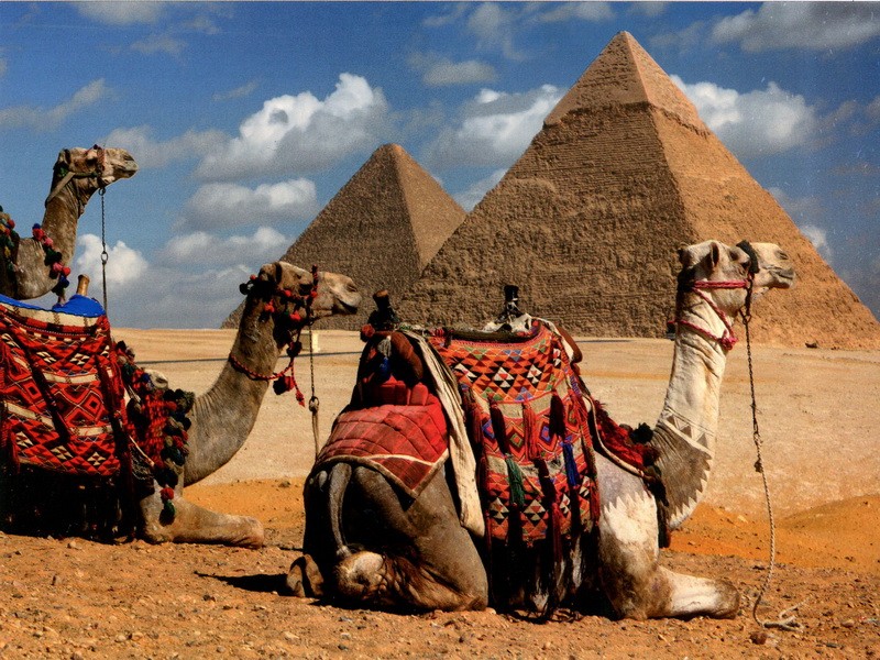 Россияне дождались? Туры в Египет с вылетом из Москвы.