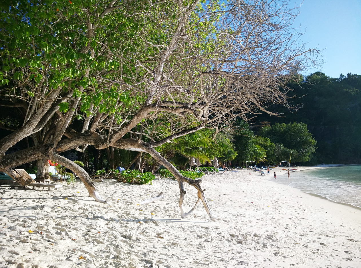 лучший пляж Сейшельских островов