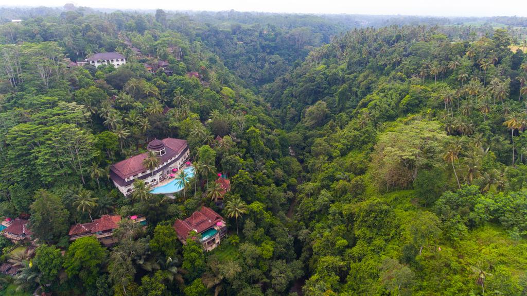 Отель Ayung Resort Ubud с высоты птичьего полета