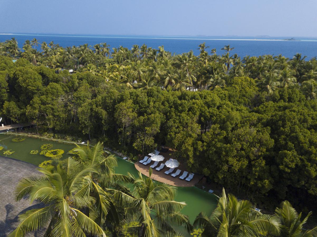 Отель Dreamland Maldives Resort