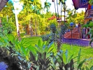 Сад в Palm Beach Hotel Bali
