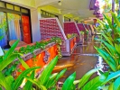 Патио или другая зона на открытом воздухе в Palm Beach Hotel Bali