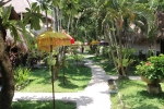 Сад в Bali Mystique Hotel & Apartment