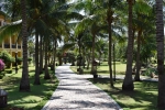 Сад в Pandanus Resort