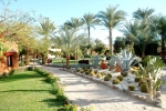 Сад в Nubian Village Aqua Hotel