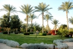Сад в Nubian Village Aqua Hotel
