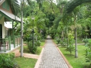 Сад в Pattaya Garden