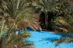 Вид на бассейн в Baron Palms Resort Sharm El Sheikh (Adults Only) или окрестностях