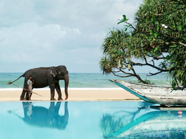 На Шри-Ланке взялись построить лучший курорт Южной Азии