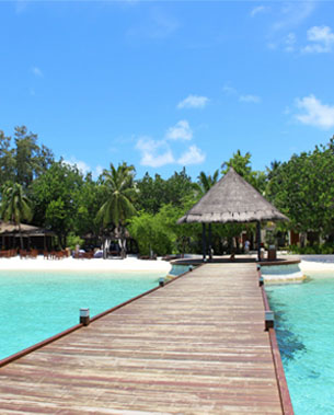 Выбери свой отель на Мальдивах