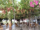 Ресторан / где поесть в Corfu Hotel