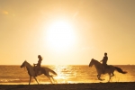 Катание на лошадях на территории курортного отеля или поблизости