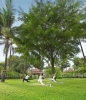 Сад в Banyan Tree SPA Sanctuary