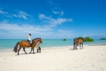 Катание на лошадях на территории курортного отеля или поблизости
