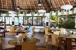 Ресторан / где поесть в Sandos Caracol Eco Resort All Inclusive