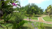 Сад в Mangrove Villa - Bentota River