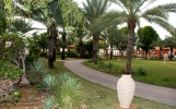 Сад в Umm Al Quwain Beach Hotel