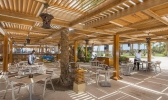 Ресторан / где поесть в Stella Di Mare Beach Resort & Spa