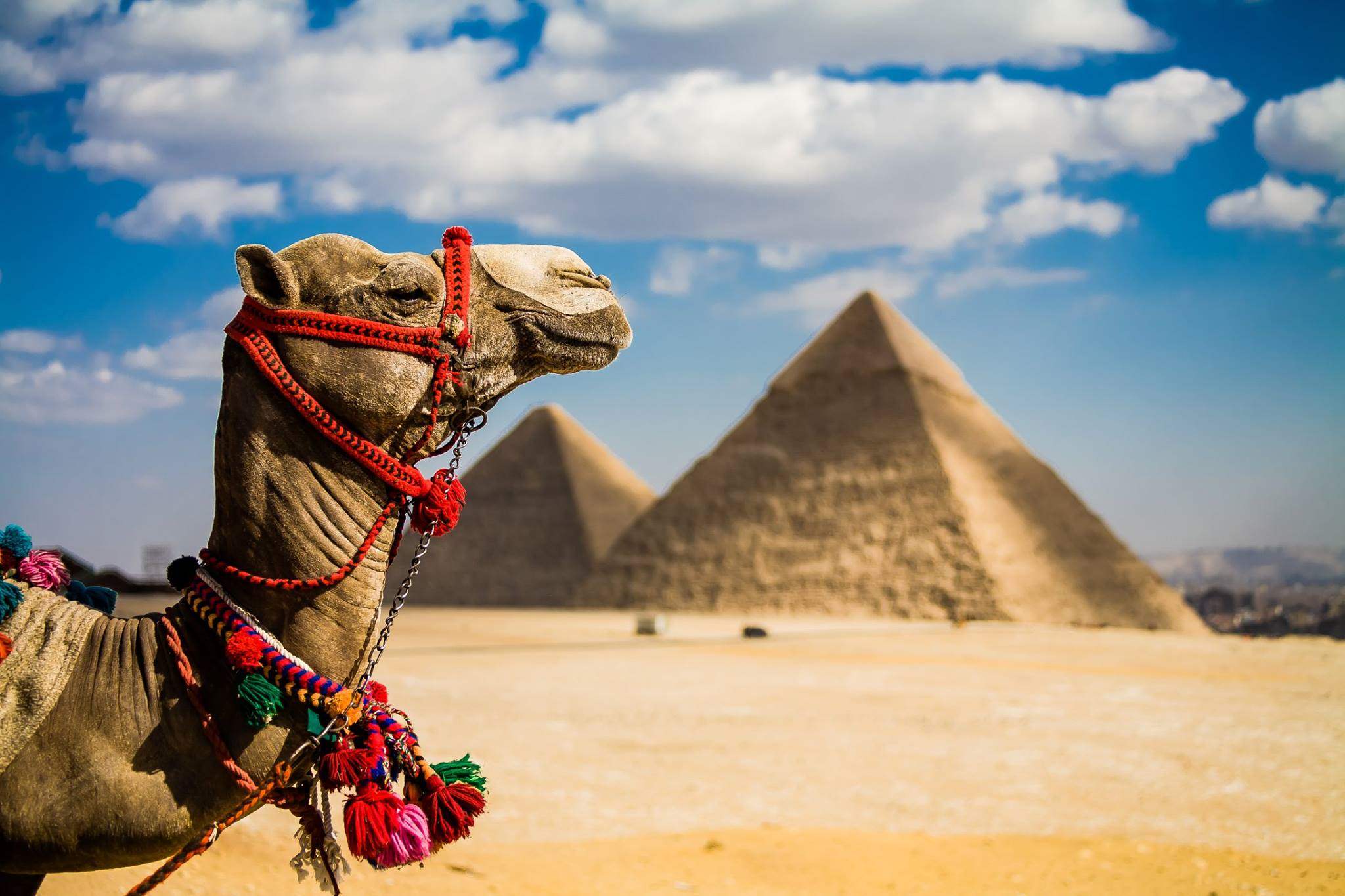 Египет увеличивает сбор с выезжающих туристов