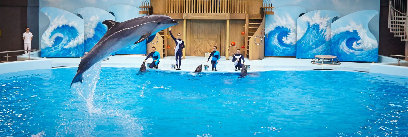 Рядом с Хургадой открылся новый дельфинарий
