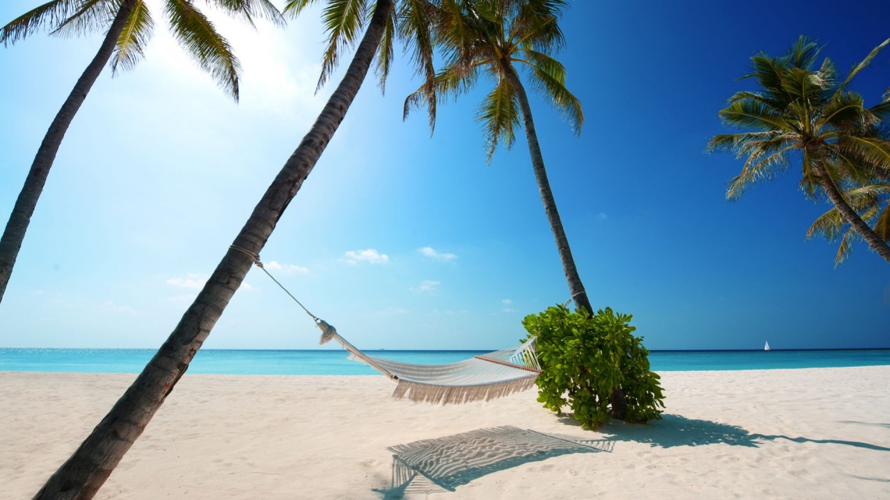 Выбраны самые чистые, красивые и солнечные пляжи мира