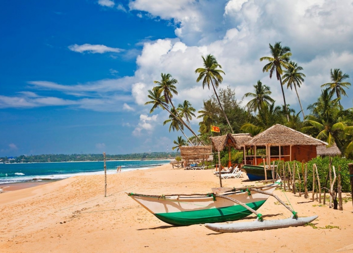 Новогодние туры в пятизвездочные отели Шри-Ланки практически распроданы